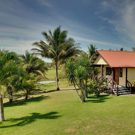 Windy Hill Resort San Ignacio Dış mekan fotoğraf