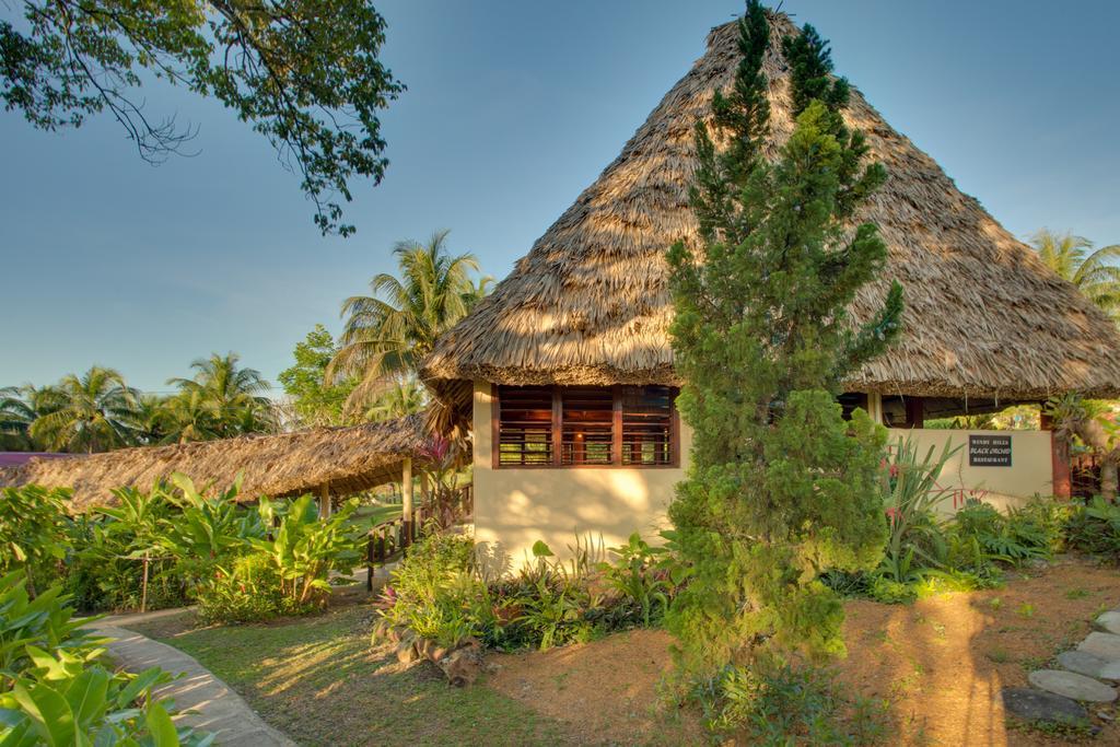 Windy Hill Resort San Ignacio Dış mekan fotoğraf