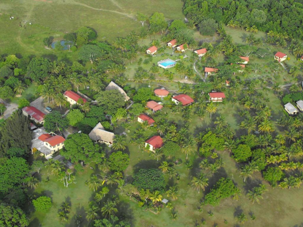 Windy Hill Resort San Ignacio Dış mekan fotoğraf